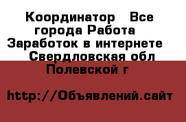 ONLINE Координатор - Все города Работа » Заработок в интернете   . Свердловская обл.,Полевской г.